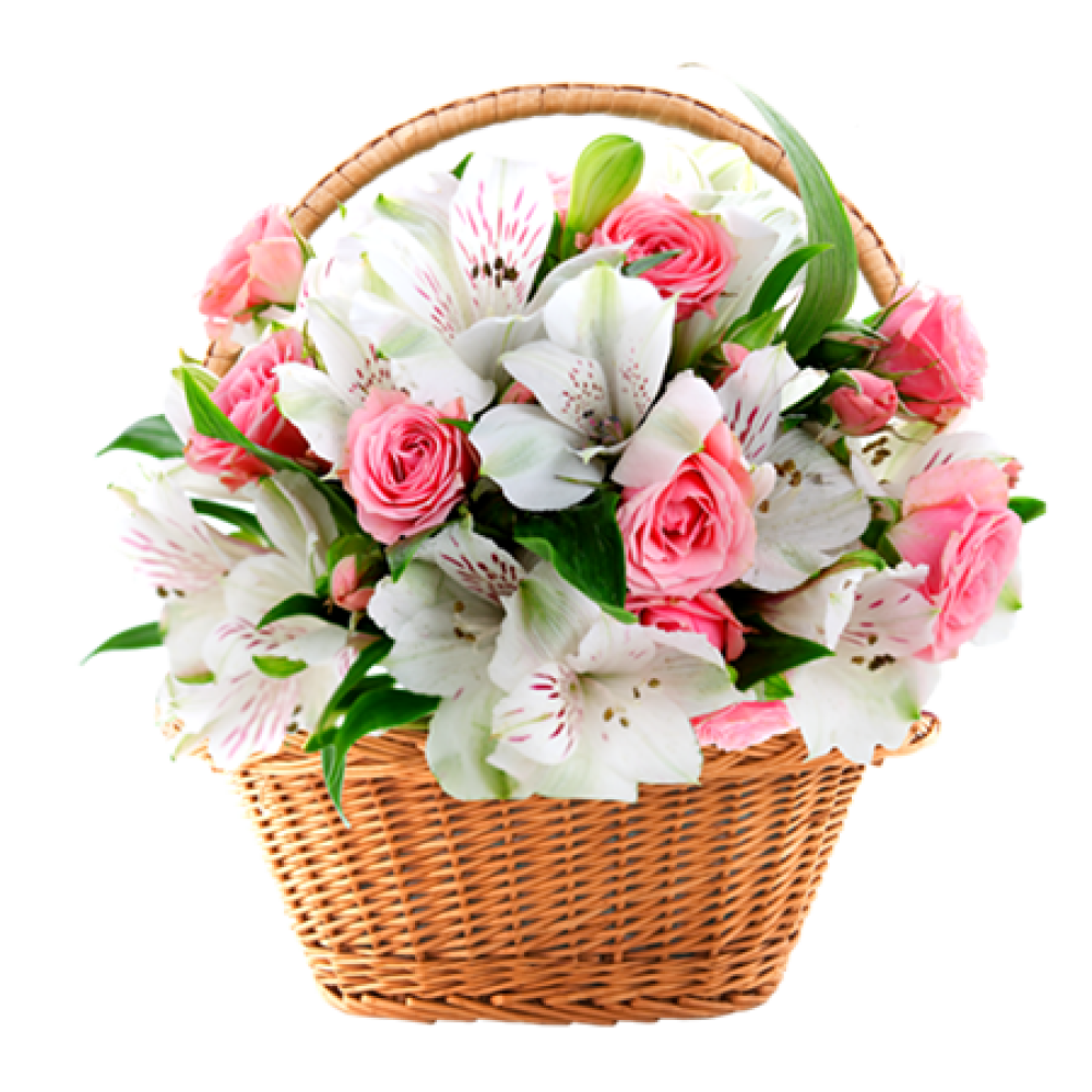 برای دوست خود